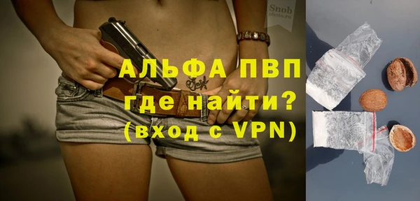 индика Армянск