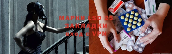 индика Армянск