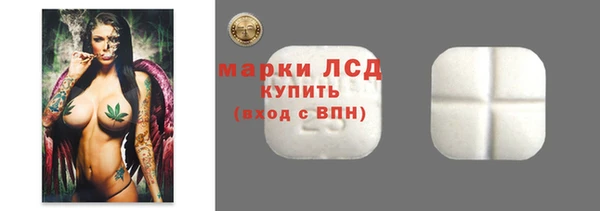 индика Армянск