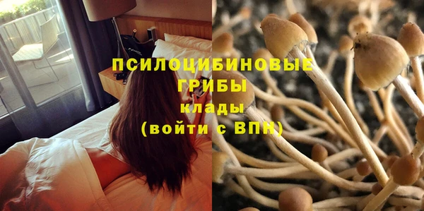 индика Армянск
