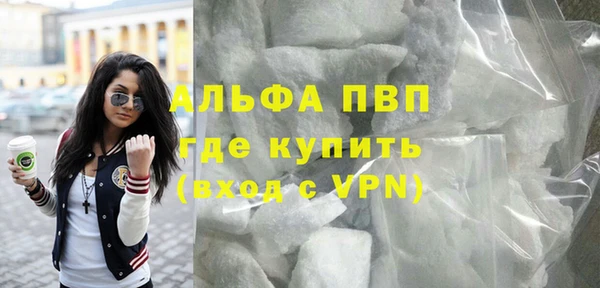 индика Армянск