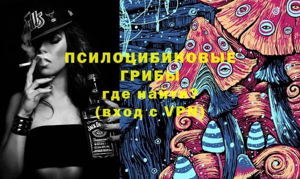 индика Армянск